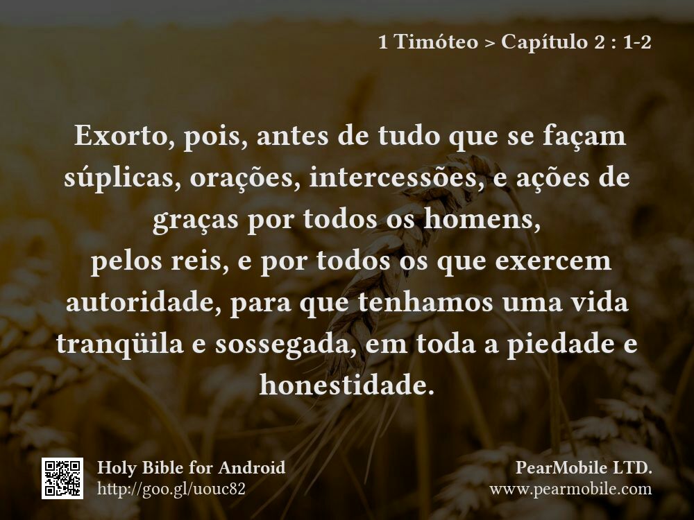 1 Timóteo, Capítulo 2:1-2